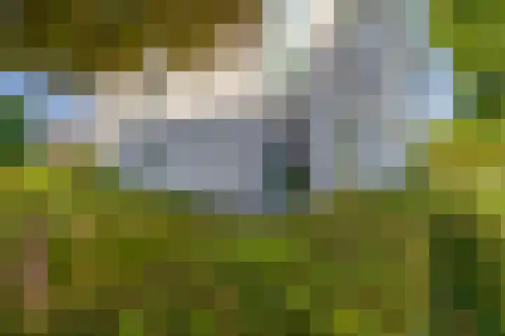 Leidseweg 133 Utrecht thumbnail 12