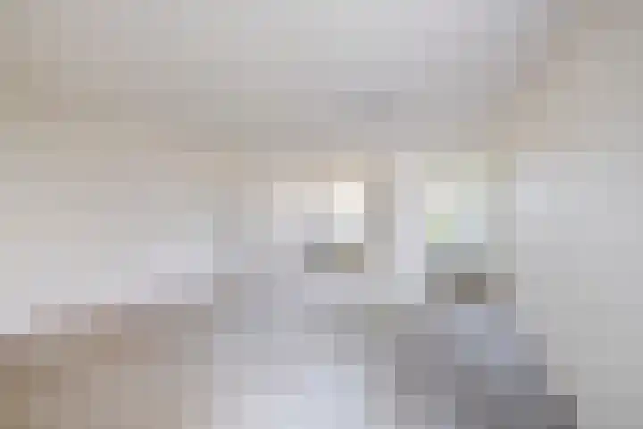 Leidseweg 133 Utrecht thumbnail 21