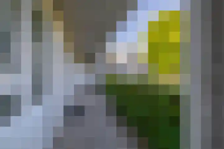 Leidseweg 133 Utrecht thumbnail 28