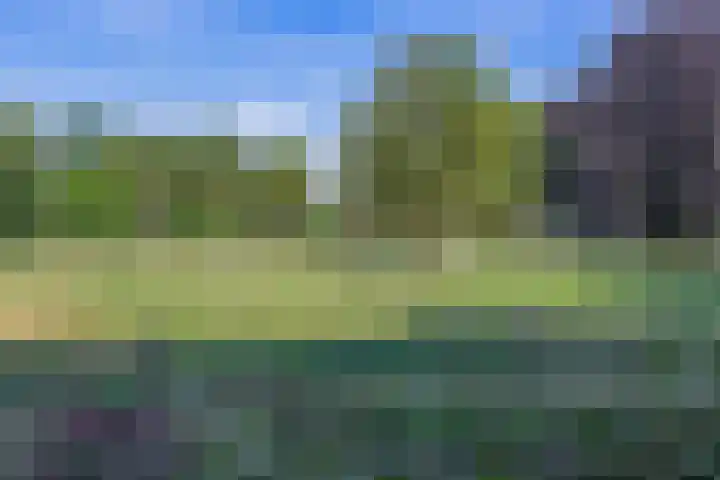Leidseweg 133 Utrecht thumbnail 29