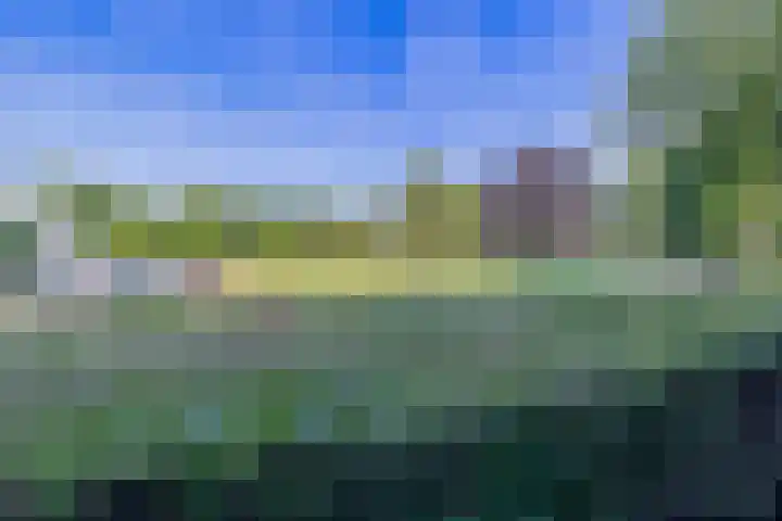 Leidseweg 133 Utrecht thumbnail 30