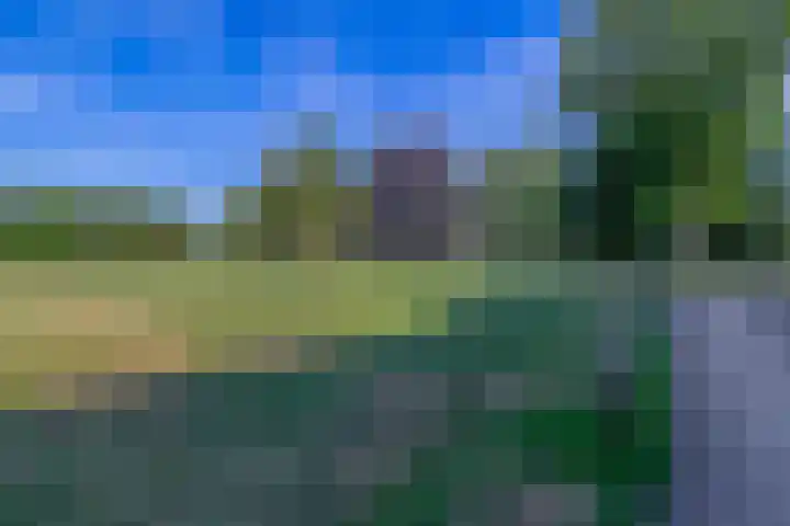 Leidseweg 133 Utrecht thumbnail 31