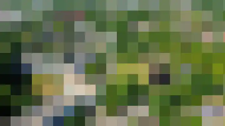 Leidseweg 133 Utrecht thumbnail 42