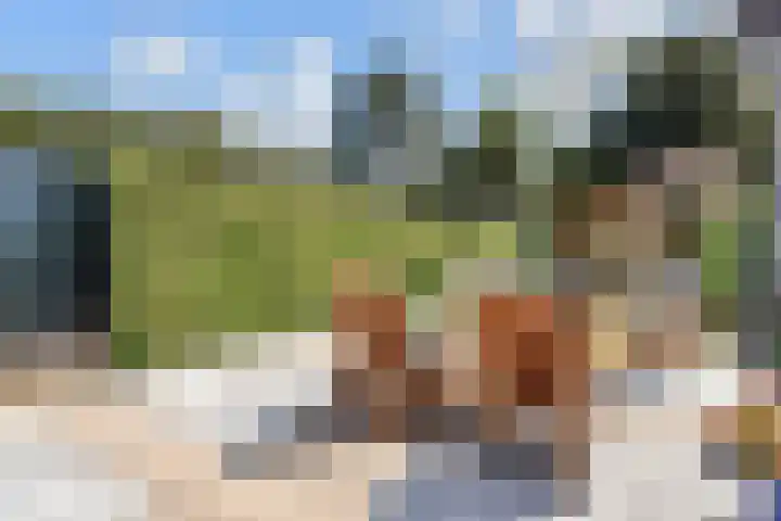 Leidseweg 170 Voorschoten thumbnail 31