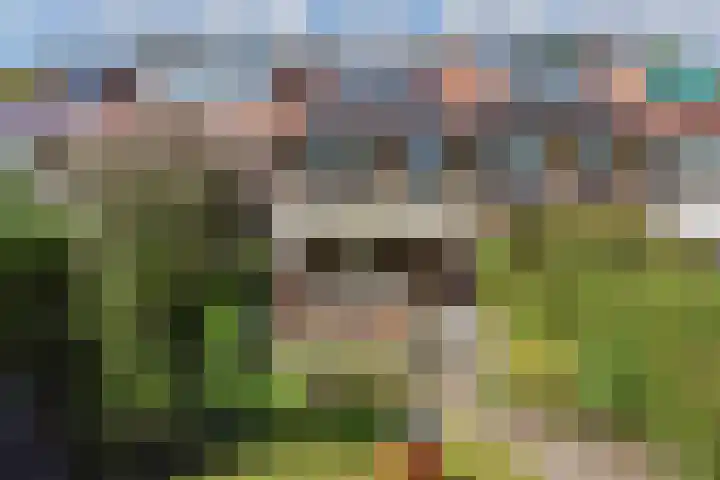Leidseweg 170 Voorschoten thumbnail 34