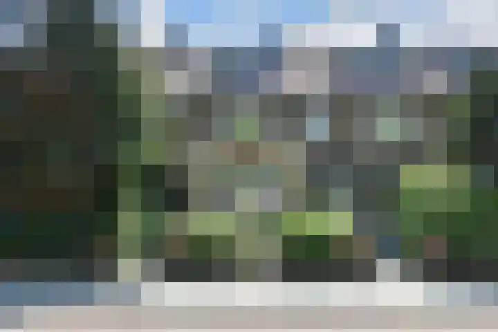 Leidseweg 170 Voorschoten thumbnail 6