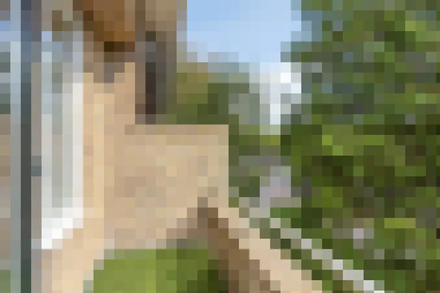 Leidseweg 181 Voorschoten thumbnail 27