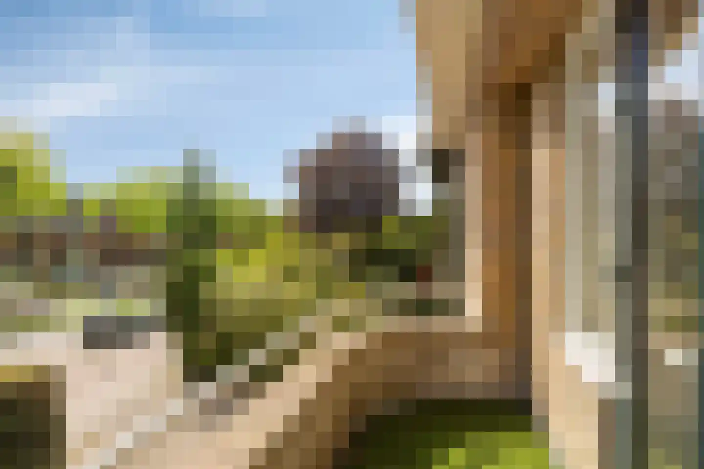 Leidseweg 181 Voorschoten thumbnail 28