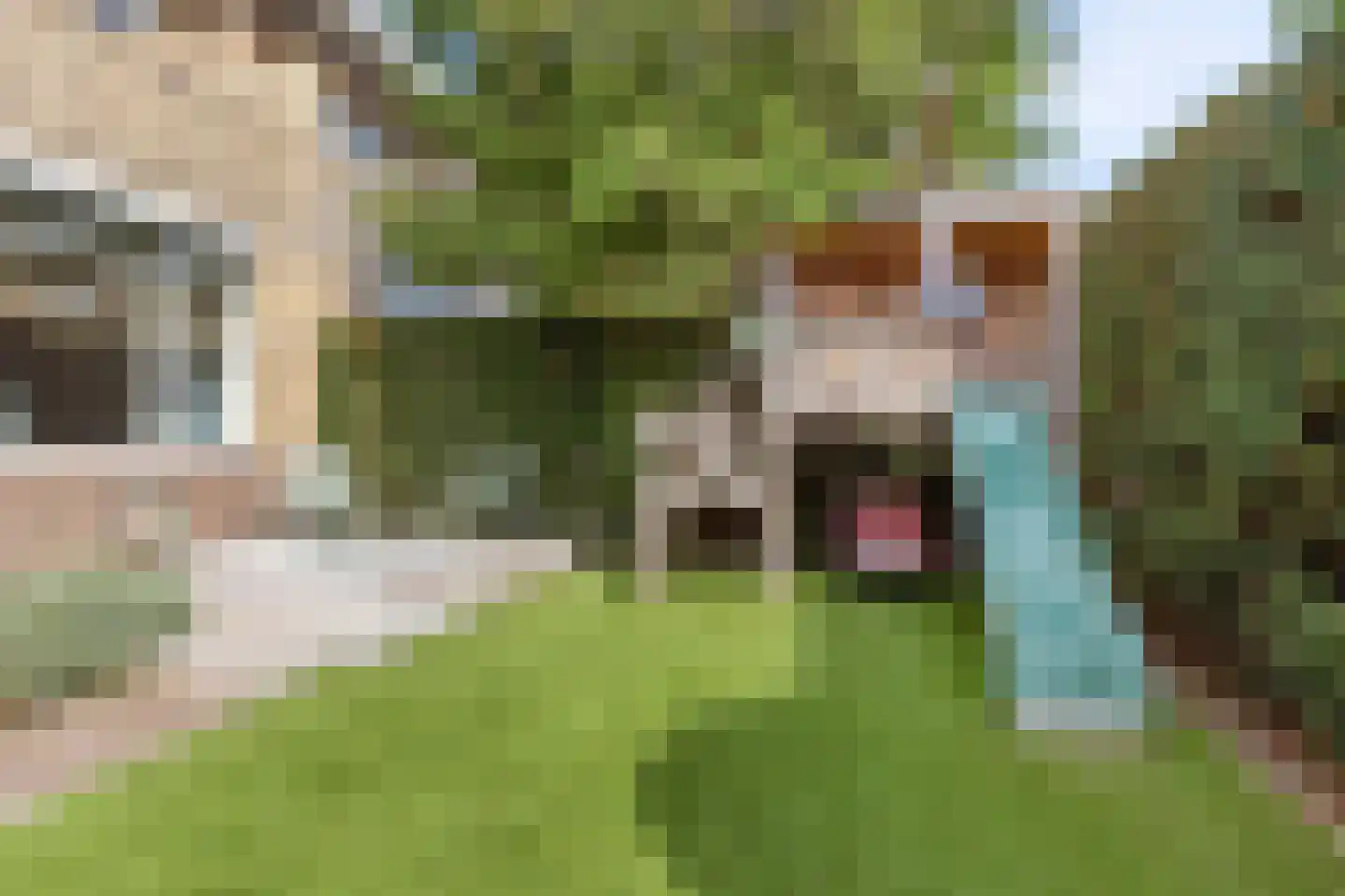 Leidseweg 181 Voorschoten thumbnail 4