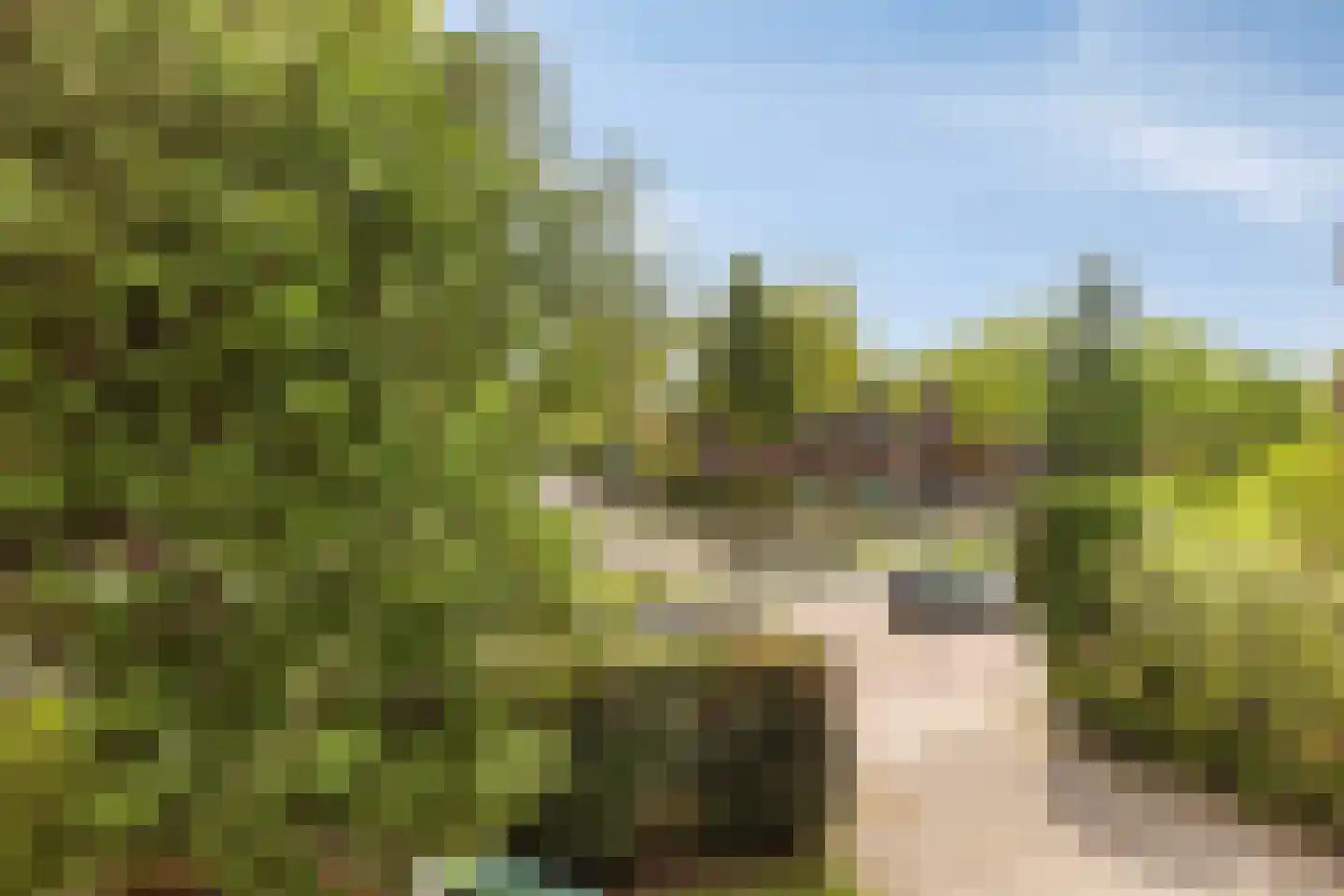 Leidseweg 181 Voorschoten thumbnail 53
