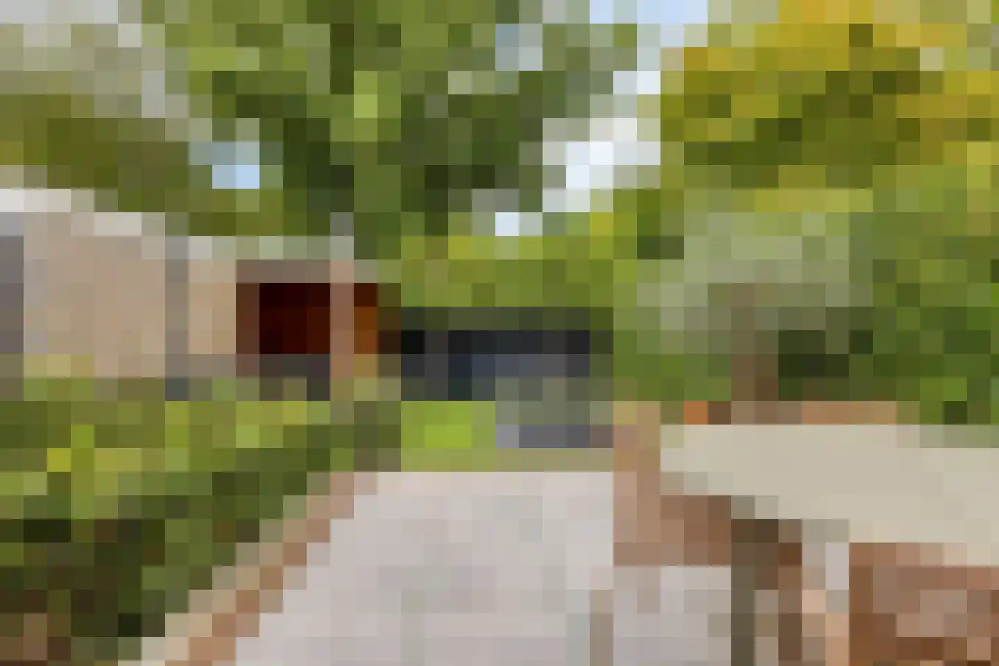 Leidseweg 181 Voorschoten thumbnail 58