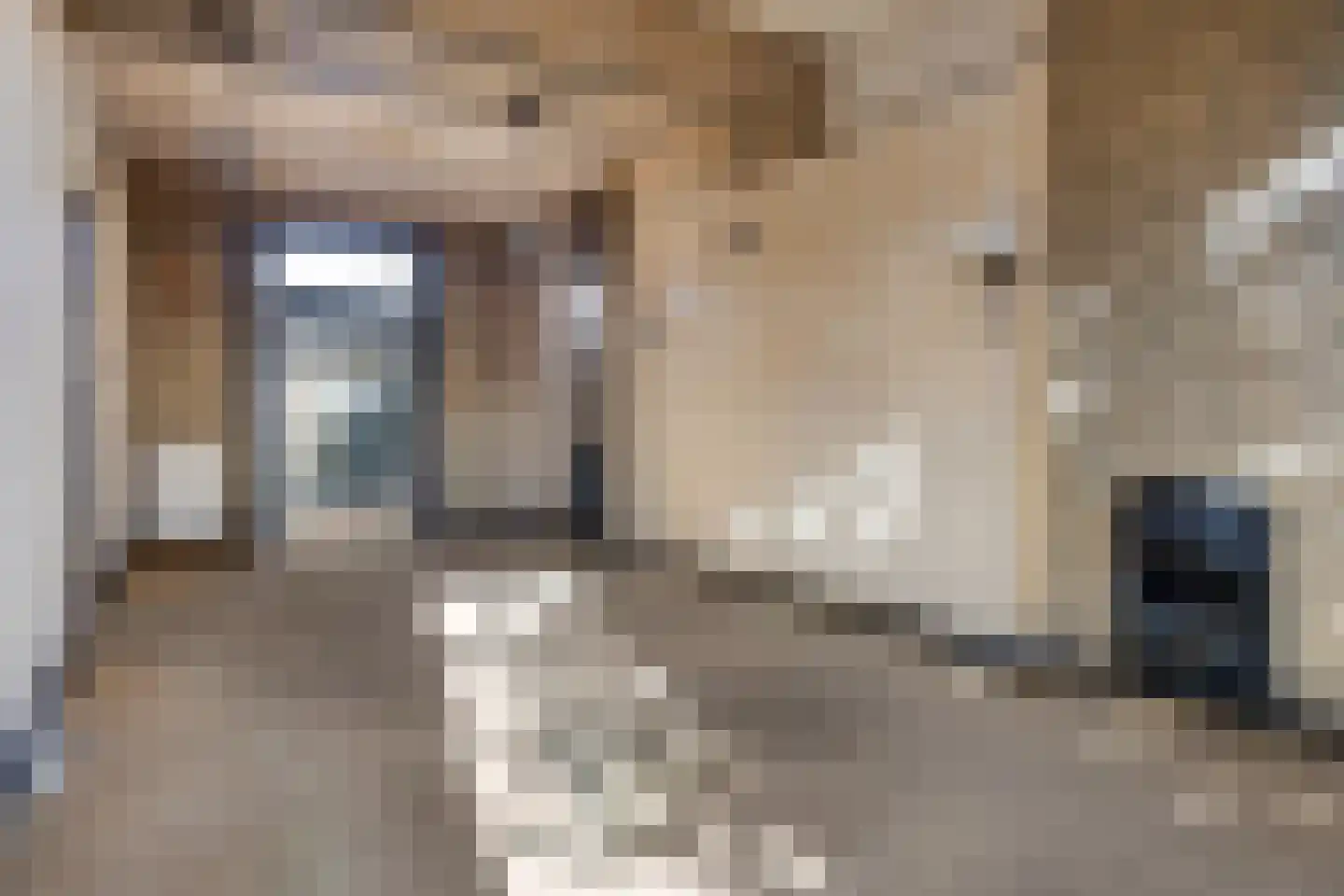 Leidseweg 195 Voorschoten thumbnail 12