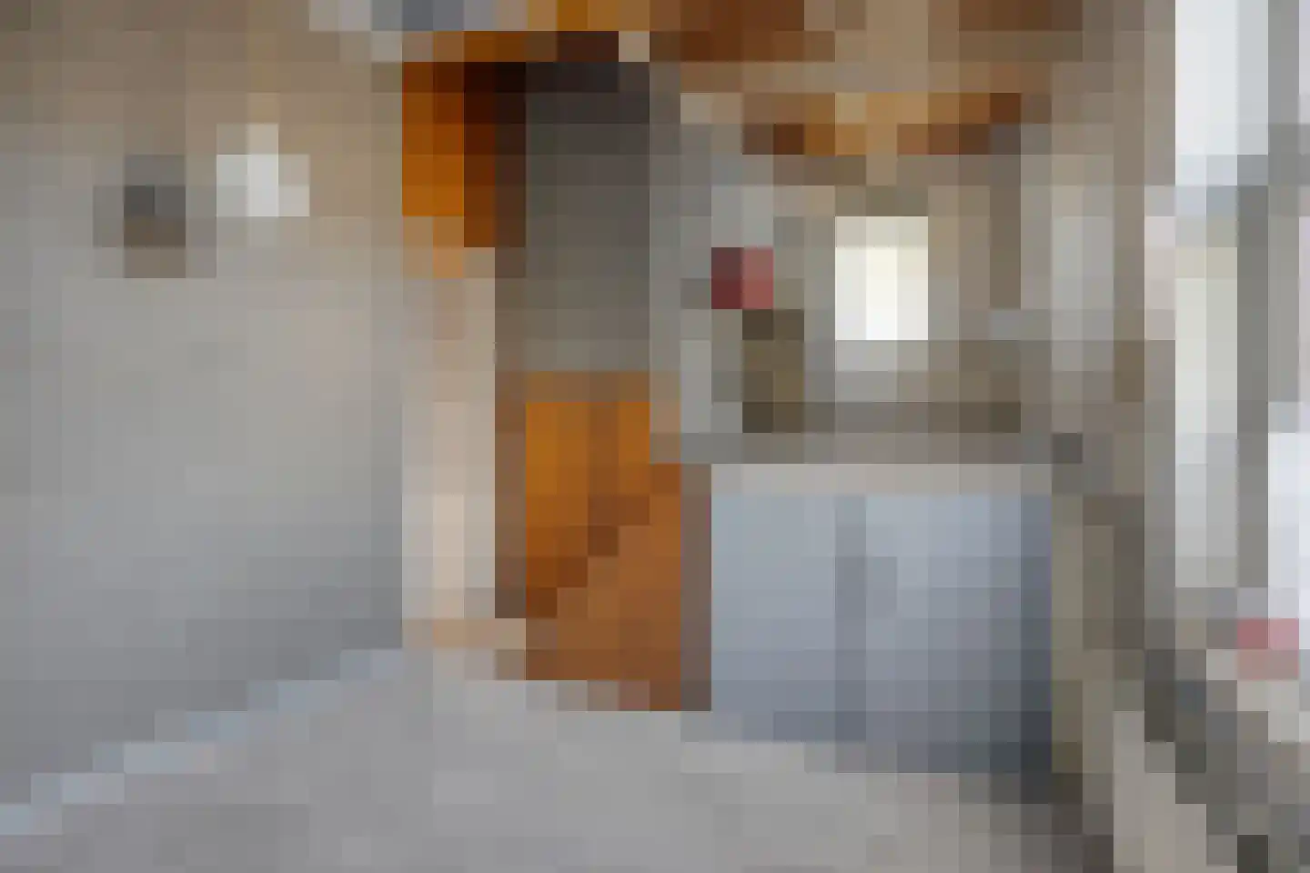Leidseweg 195 Voorschoten thumbnail 33