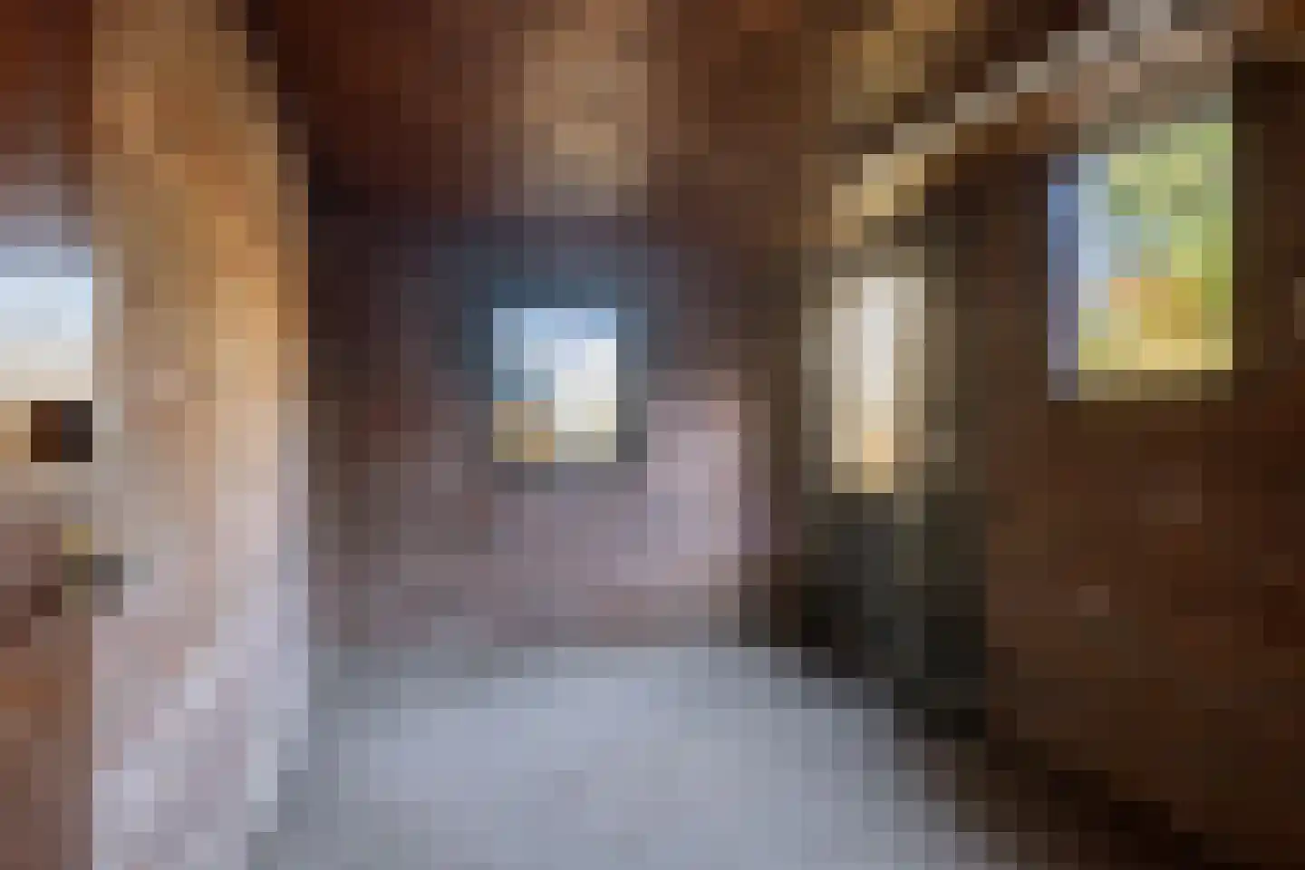 Leidseweg 195 Voorschoten thumbnail 34