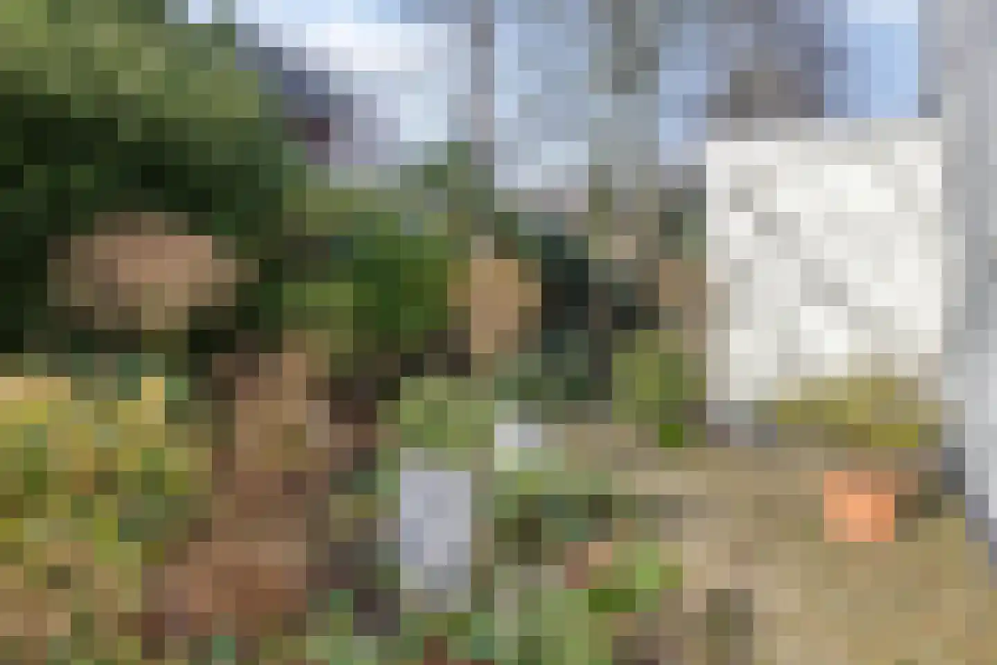 Leidseweg 195 Voorschoten thumbnail 37