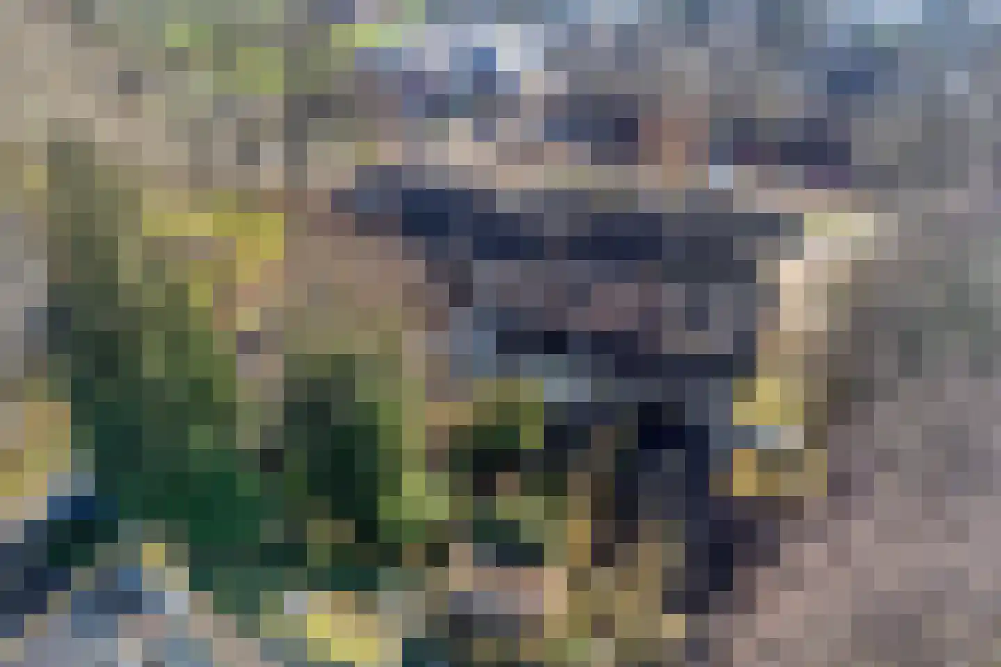 Leidseweg 195 Voorschoten thumbnail 4