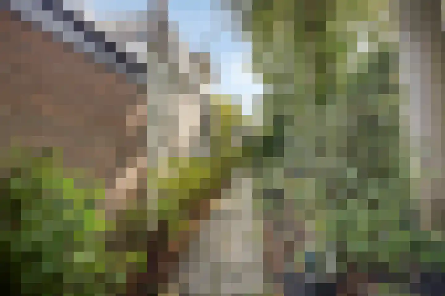 Leidseweg 195 Voorschoten thumbnail 40