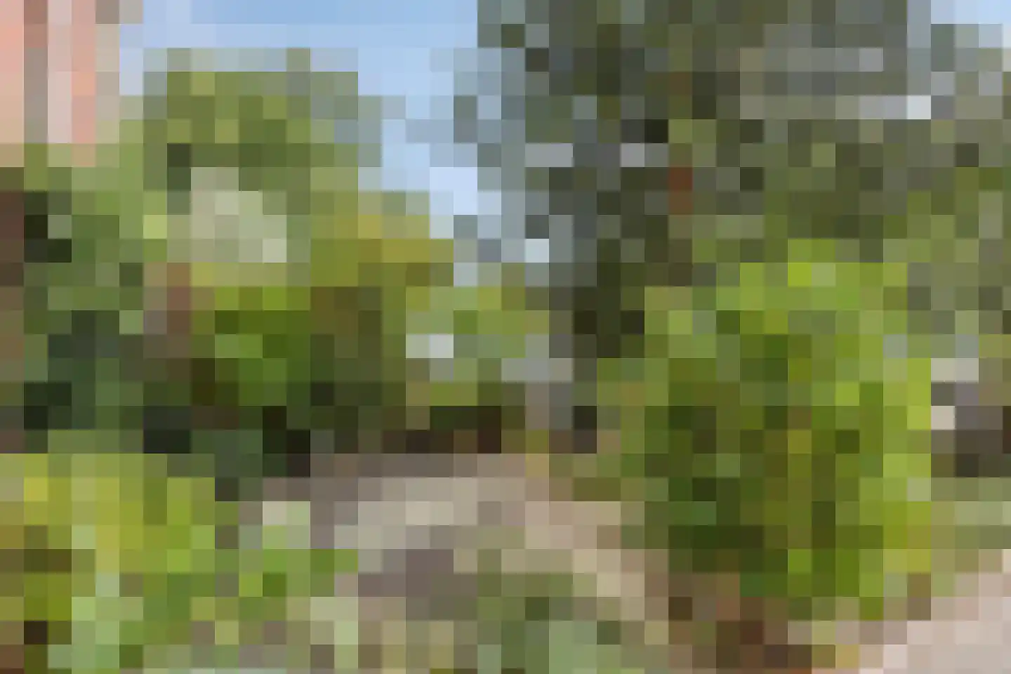 Leidseweg 195 Voorschoten thumbnail 42