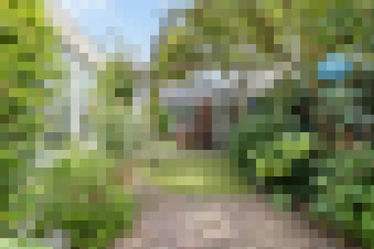 Leidseweg 198 a Voorschoten thumbnail 69