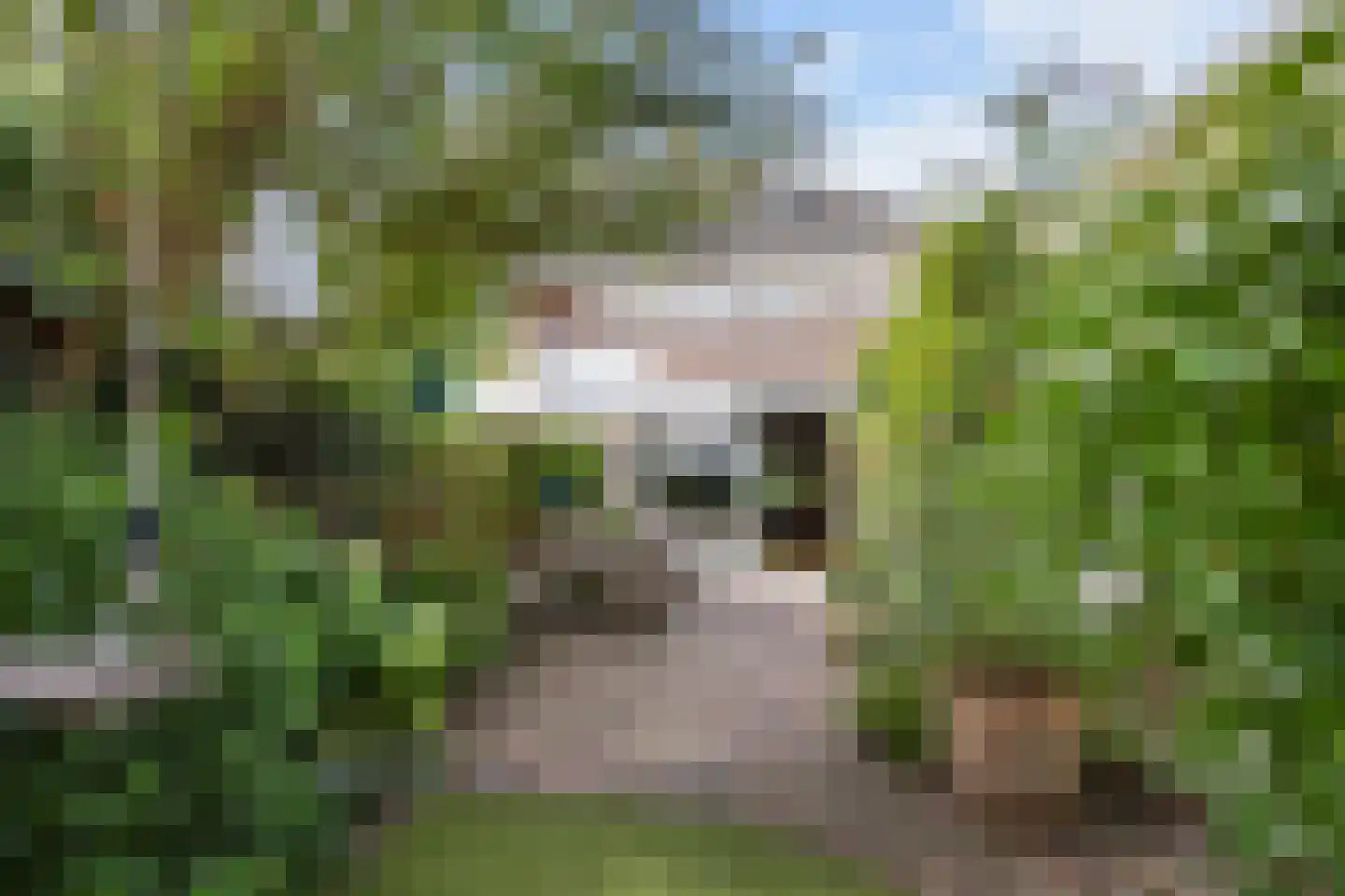 Leidseweg 198 a Voorschoten thumbnail 74