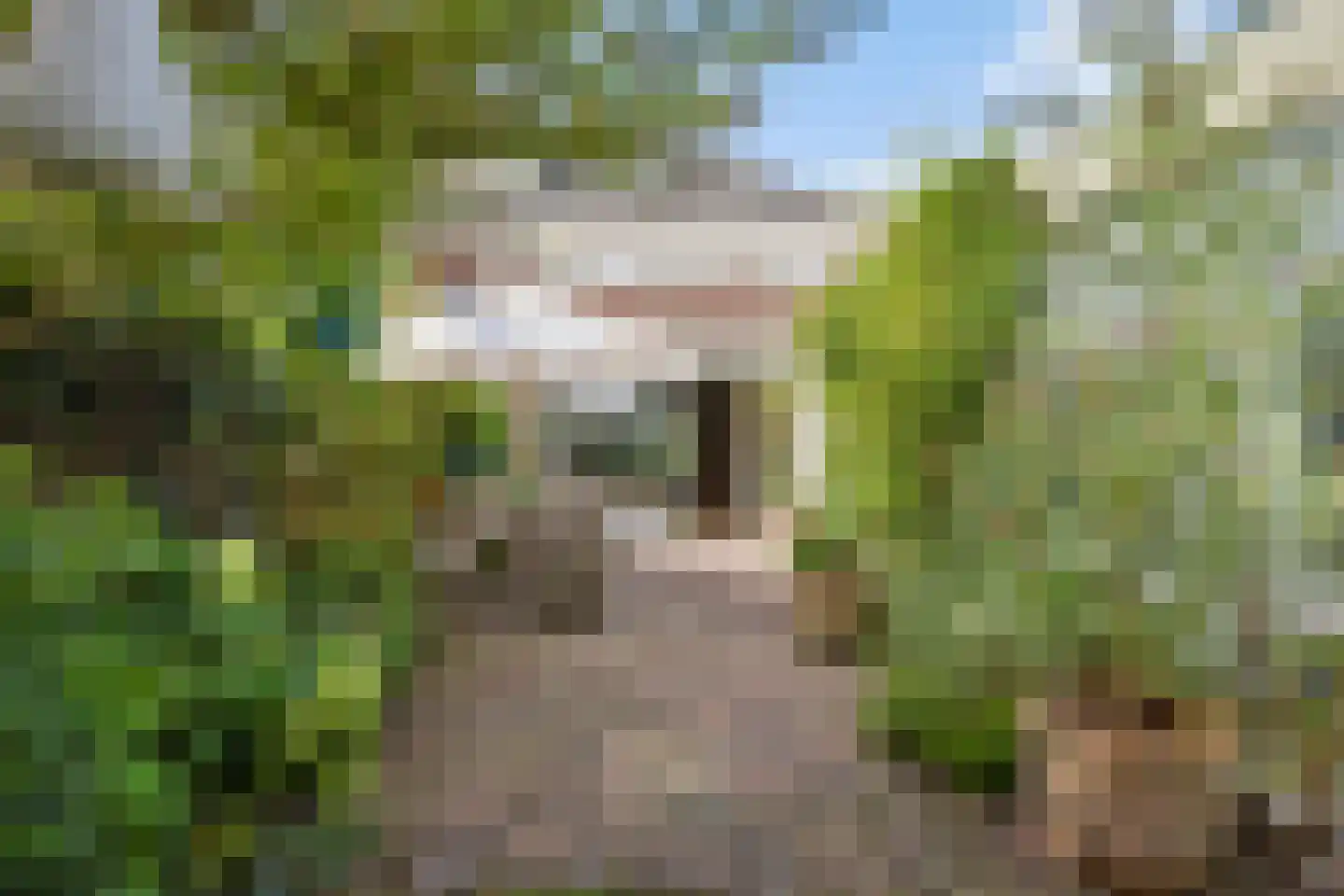 Leidseweg 198 a Voorschoten thumbnail 75