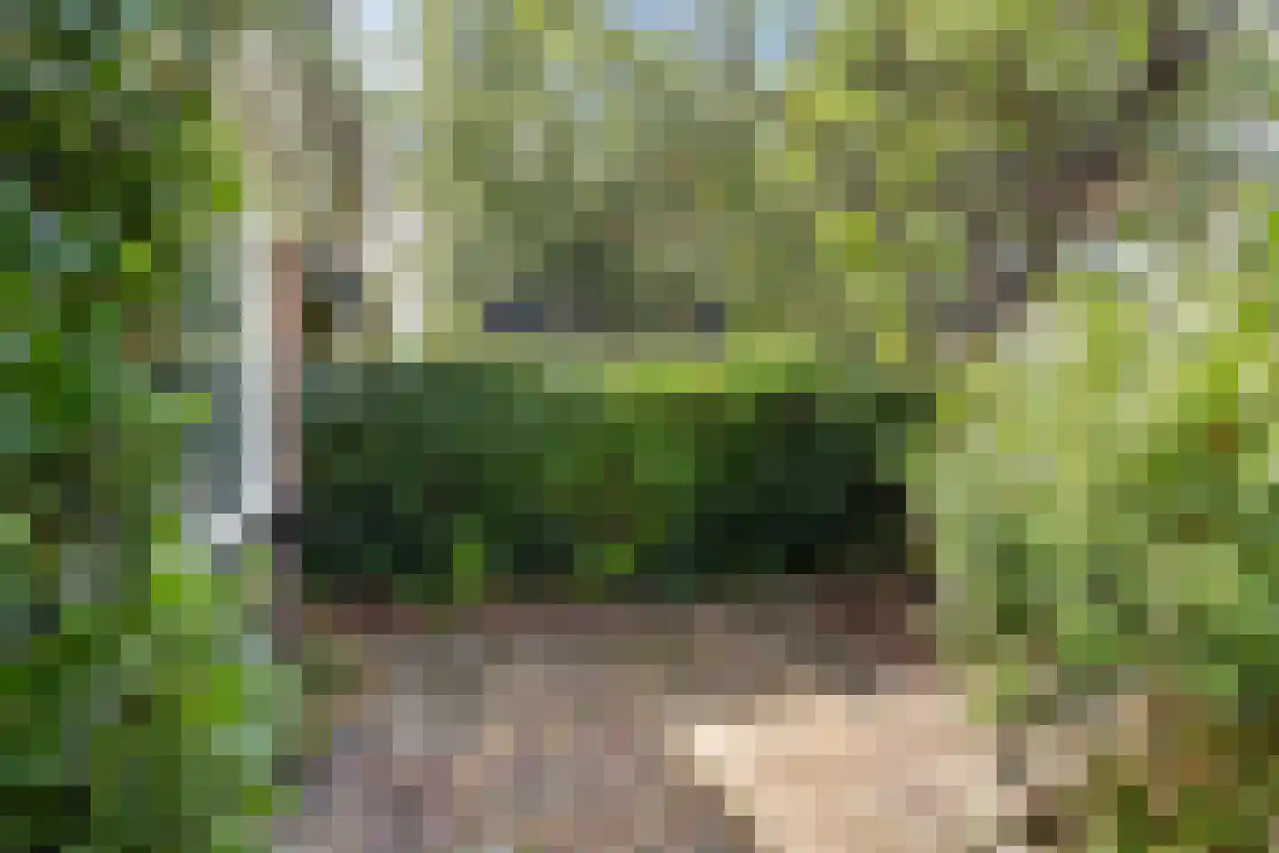 Leidseweg 198 a Voorschoten thumbnail 76