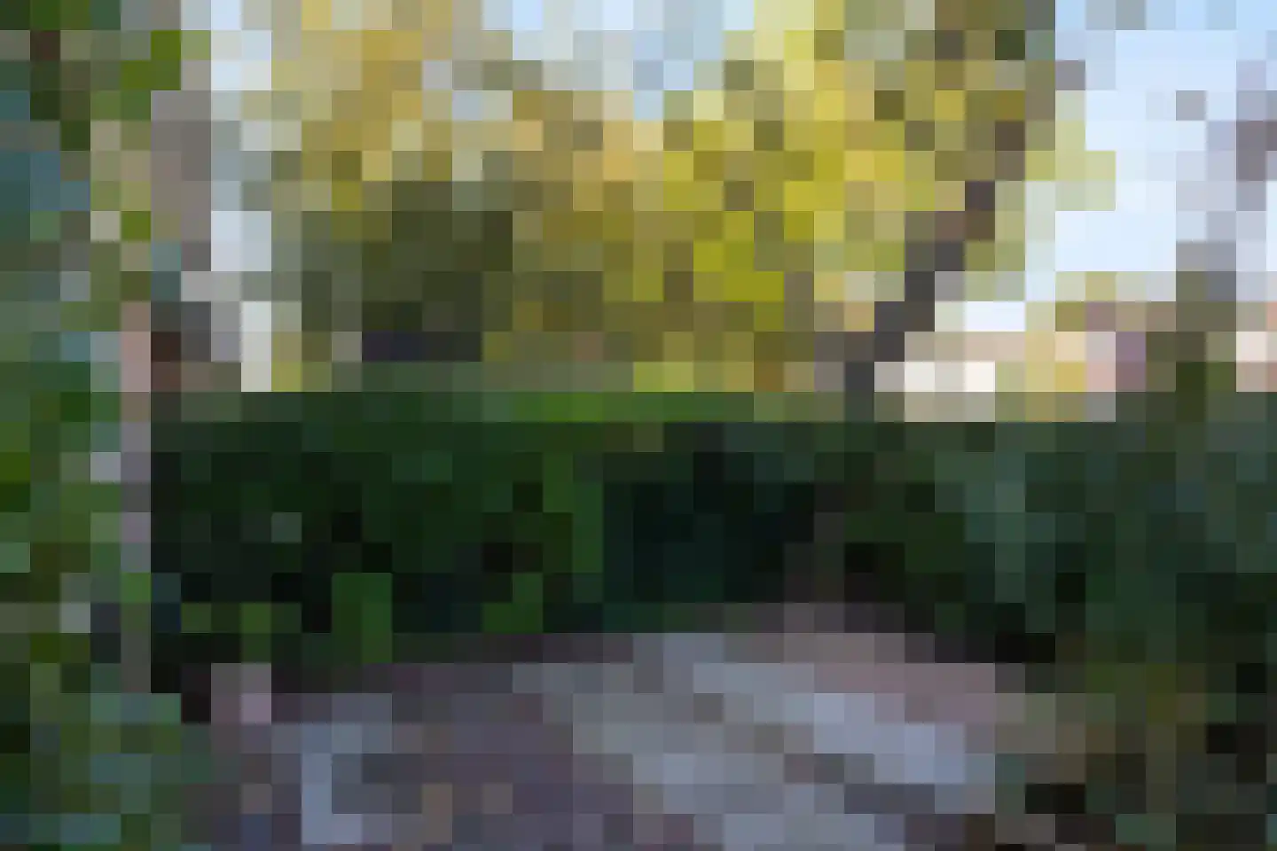 Leidseweg 198 a Voorschoten thumbnail 77