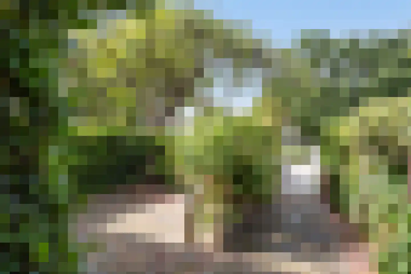 Leidseweg 198 a Voorschoten thumbnail 77