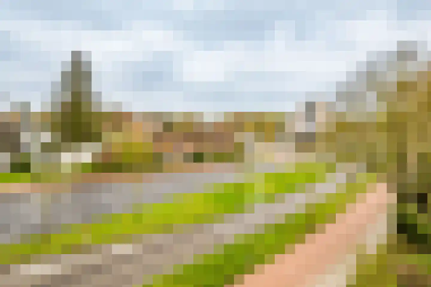Leidseweg 198 Utrecht thumbnail 10