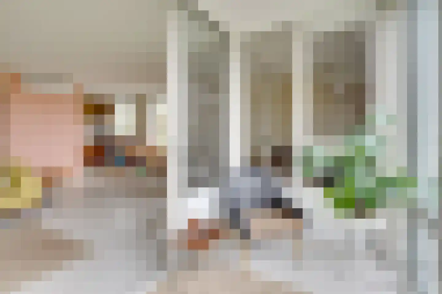 Leidseweg 198 Utrecht thumbnail 11