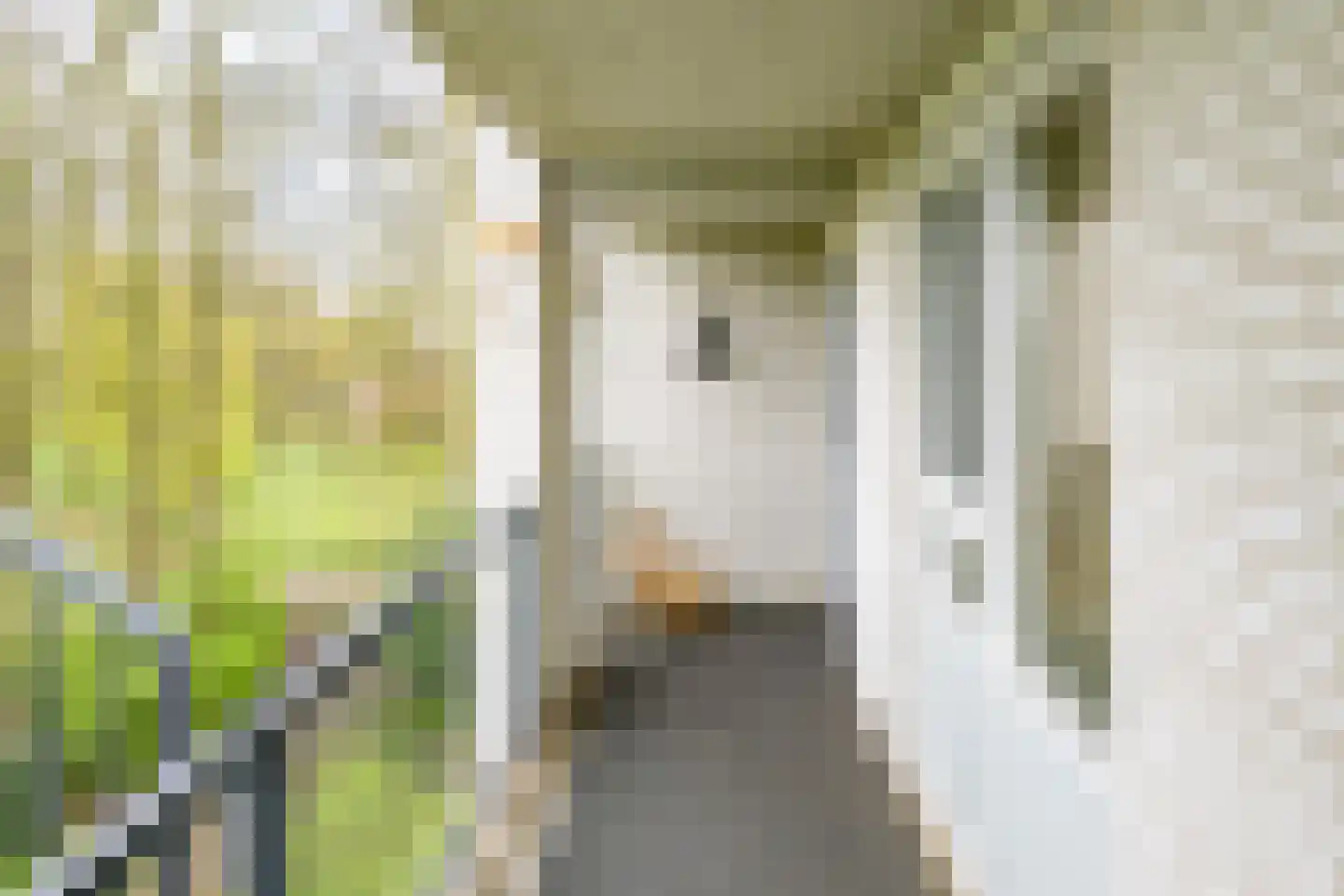 Leidseweg 198 Utrecht thumbnail 29