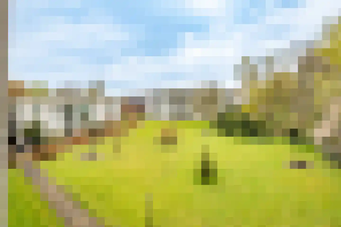 Leidseweg 198 Utrecht thumbnail 30