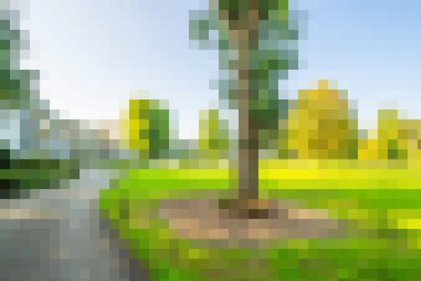 Leidseweg 198 Utrecht thumbnail 34