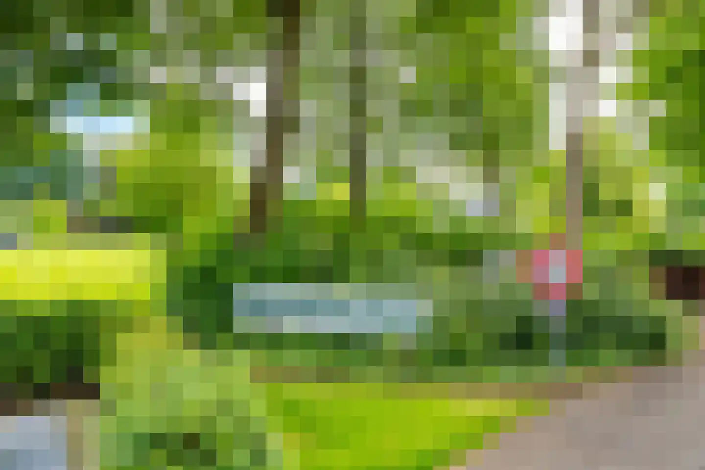 Leidseweg 198 Utrecht thumbnail 37
