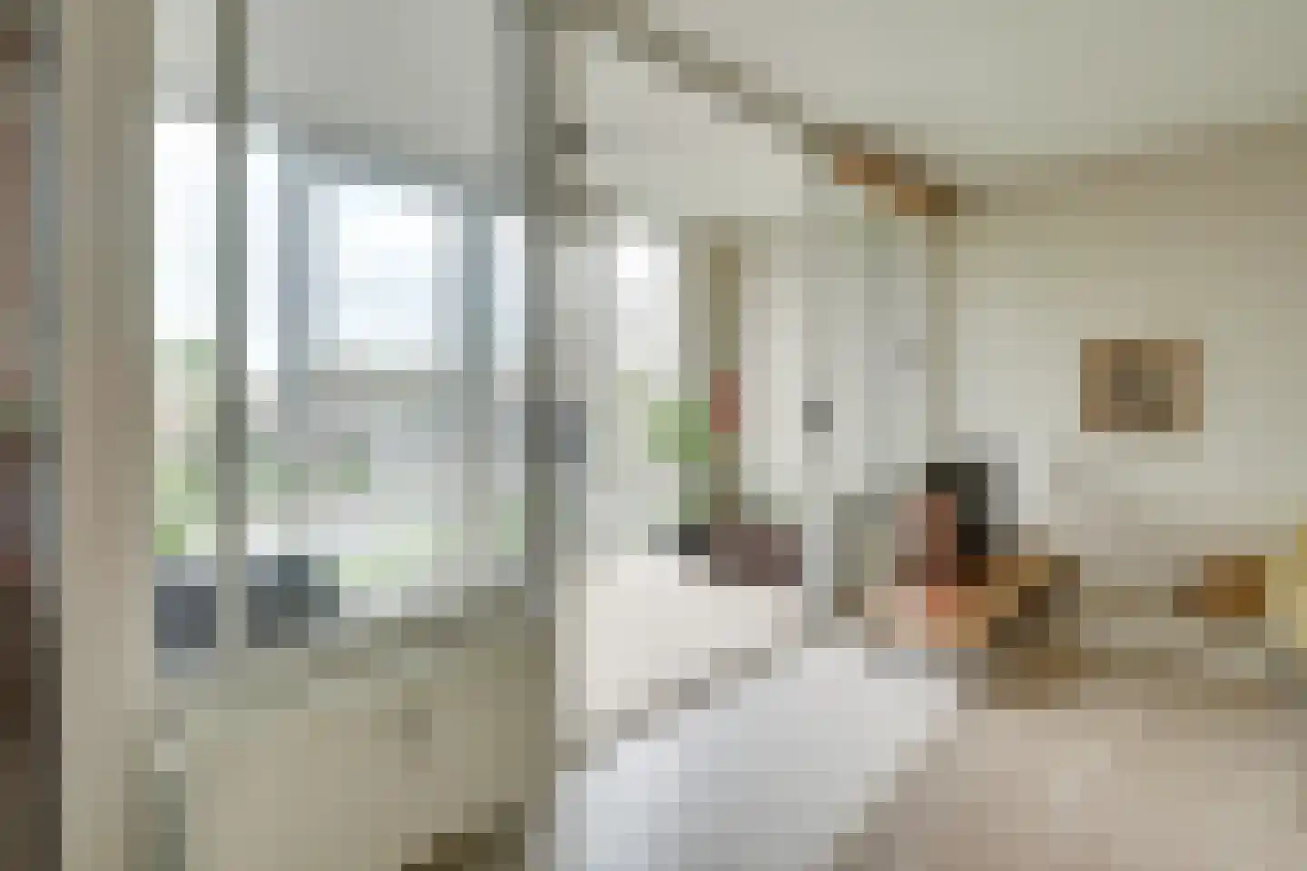 Leidseweg 198 Utrecht thumbnail 7