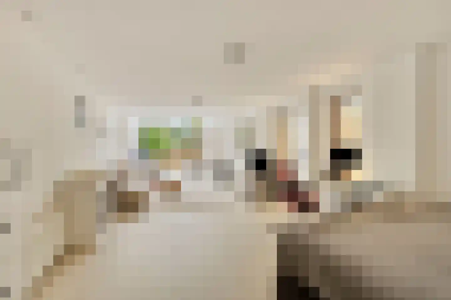 Leidseweg 220 Voorschoten thumbnail 28
