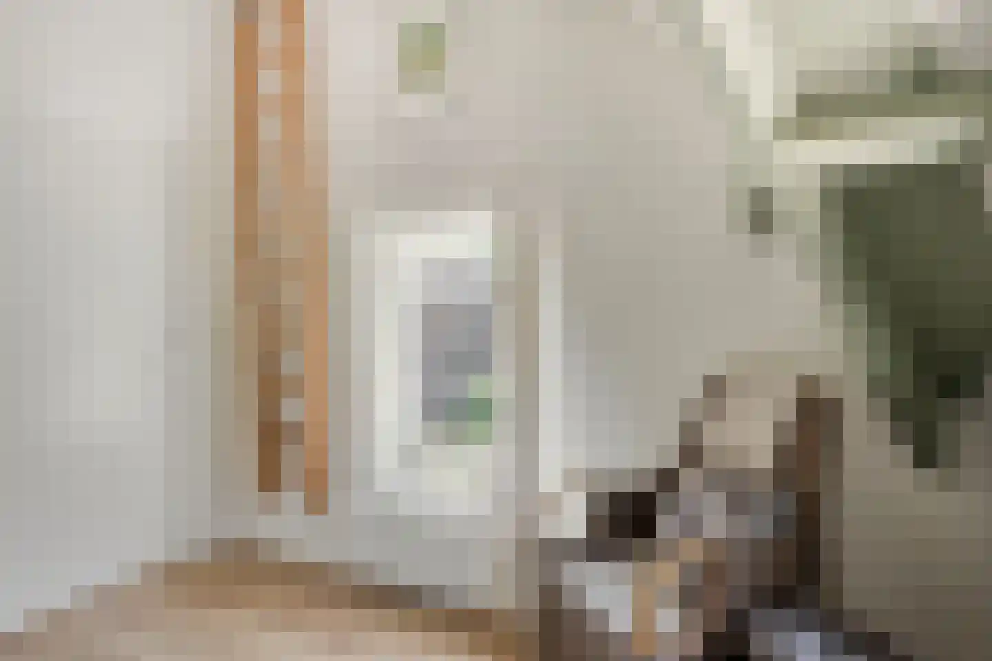 Leidseweg 220 Voorschoten thumbnail 36