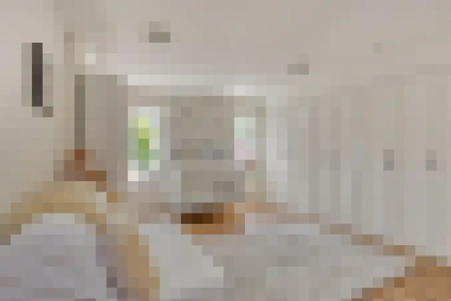 Leidseweg 220 Voorschoten thumbnail 41