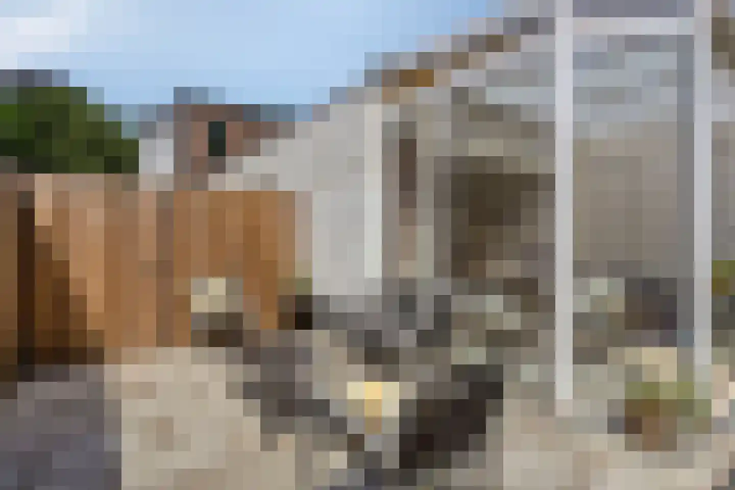 Leidseweg 220 Voorschoten thumbnail 45