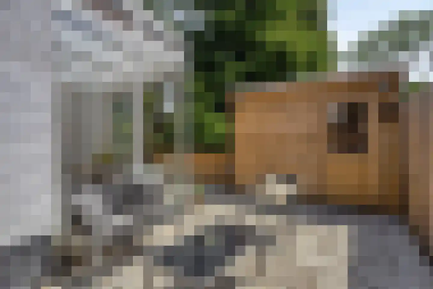 Leidseweg 220 Voorschoten thumbnail 46
