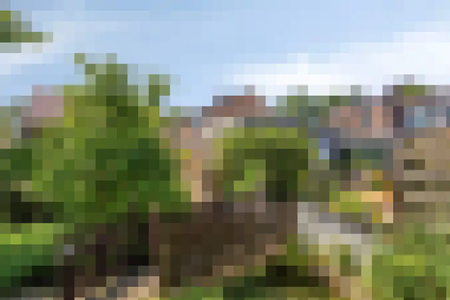 Leidseweg 220 Voorschoten thumbnail 50