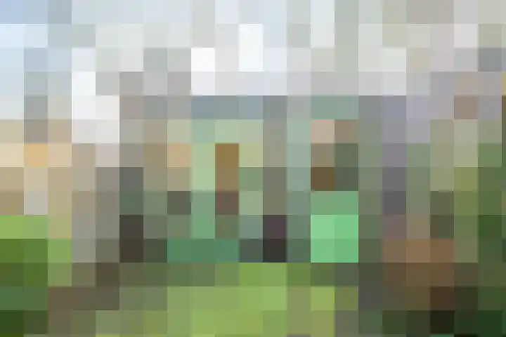 Leidseweg 228 Voorschoten thumbnail 15