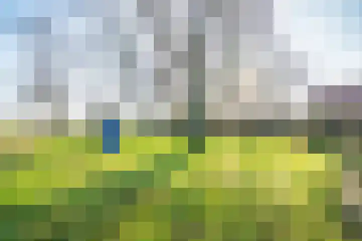 Leidseweg 228 Voorschoten thumbnail 16