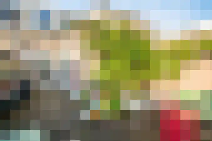 Leidseweg 228 Voorschoten thumbnail 22