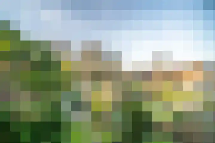 Leidseweg 228 Voorschoten thumbnail 53