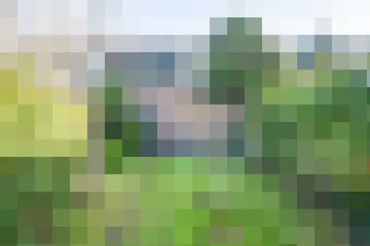 Leidseweg 228 Voorschoten thumbnail 57