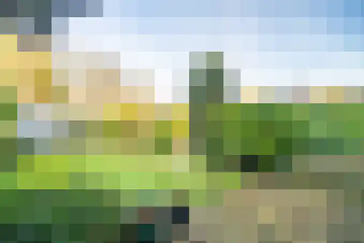Leidseweg 228 Voorschoten thumbnail 58