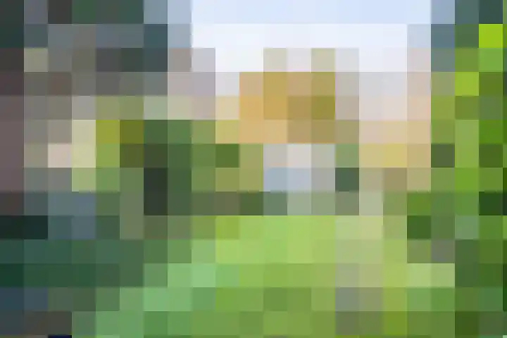 Leidseweg 228 Voorschoten thumbnail 59