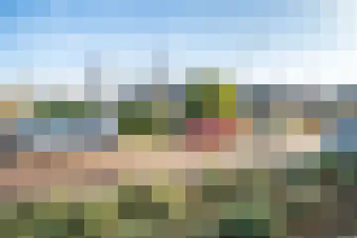 Leidseweg 228 Voorschoten thumbnail 60