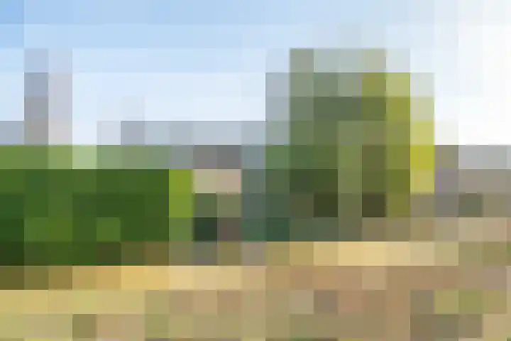 Leidseweg 228 Voorschoten thumbnail 61